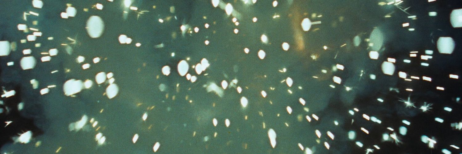 🧡Пирожок с Савиным🌿 banner