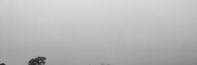 absrdmvrck's banner
