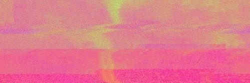 Niamh Devereux banner