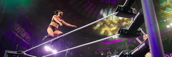 MiamiSweetHeat Profile Banner