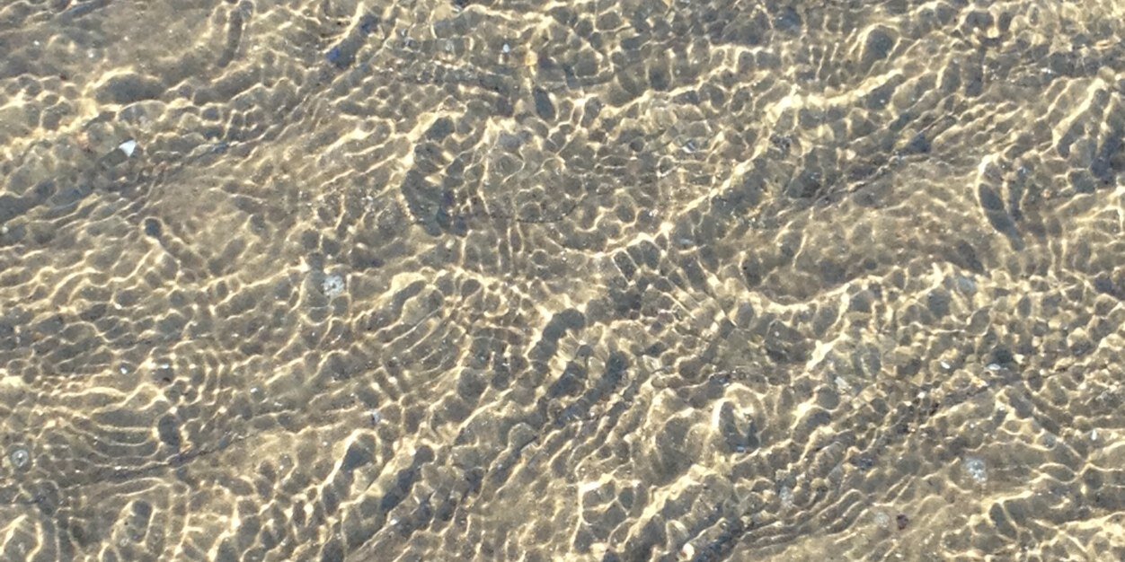 Georgia Carlile banner