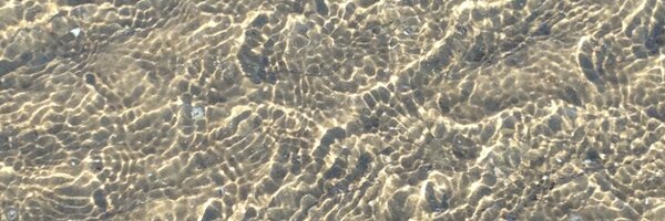 Gigi_SLT Profile Banner