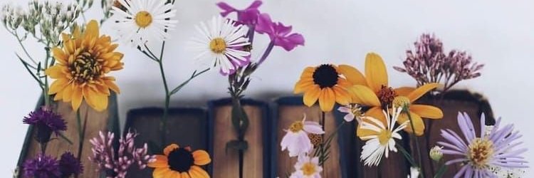 JemiBel's profile banner image