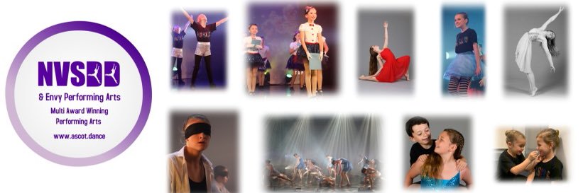 NVSDD banner