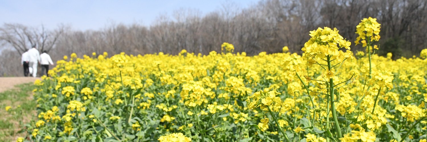 桐生タイムス banner