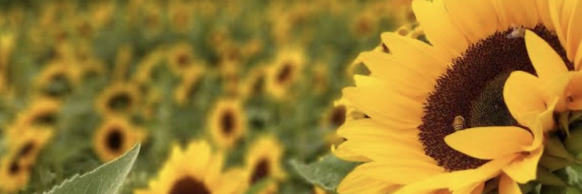 Lesants77G's profile banner image
