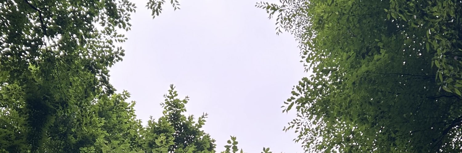 highbuch1's profile banner image