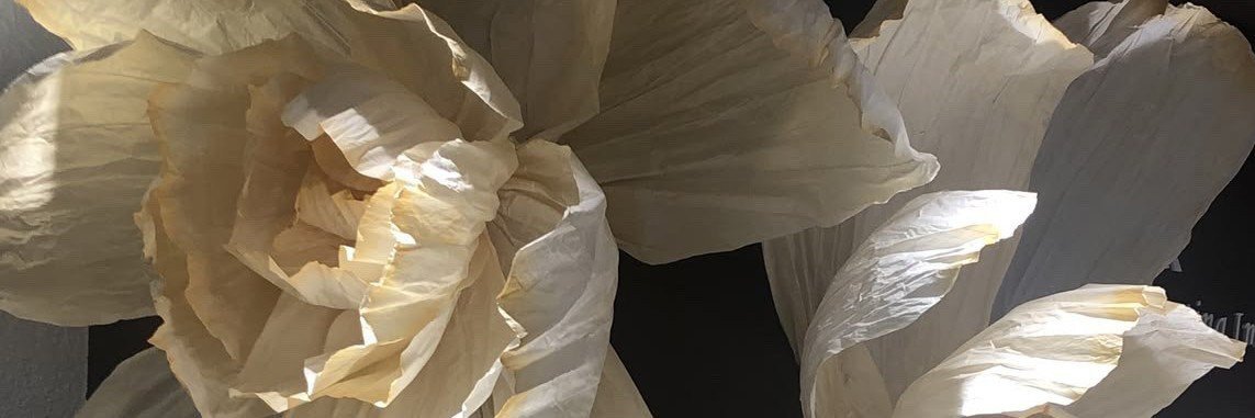 Lopblr's profile banner image