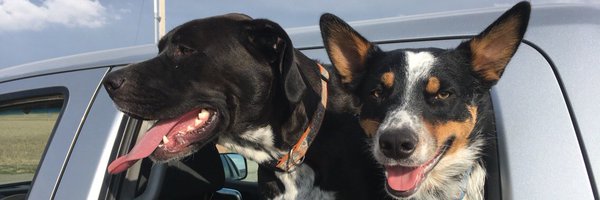 CountsHuey Profile Banner