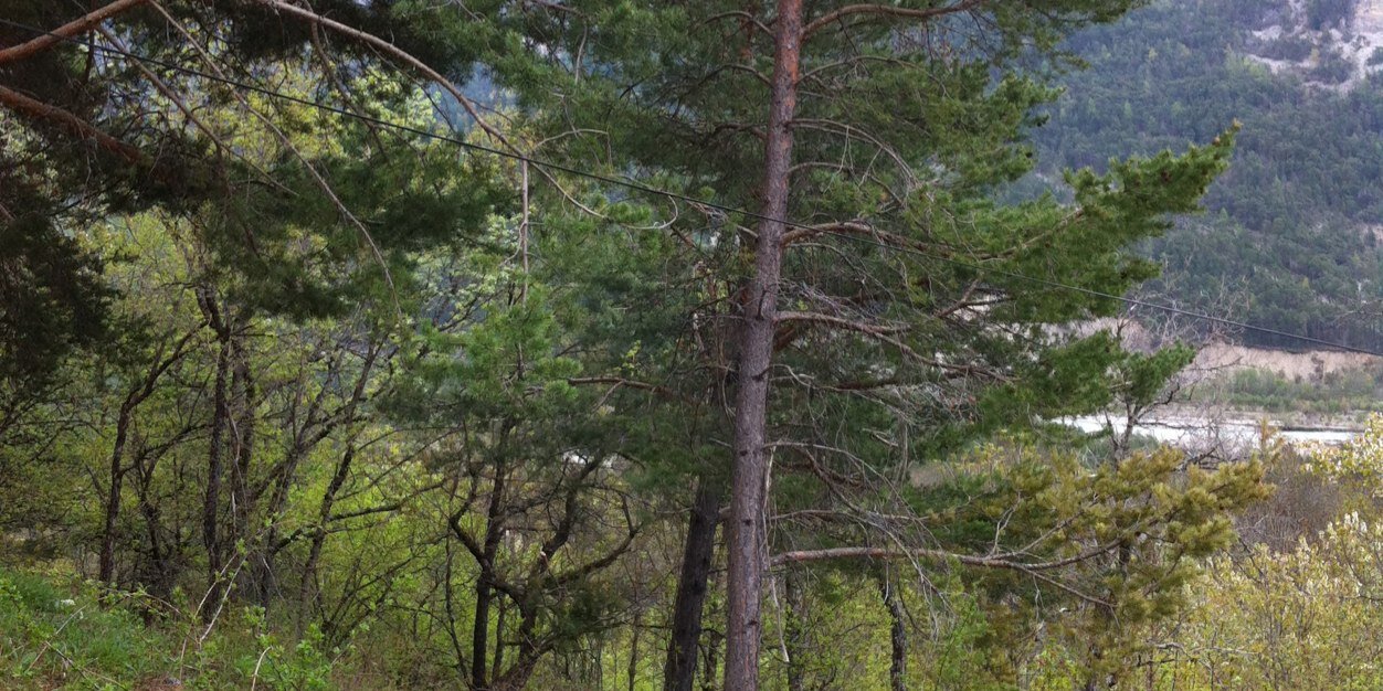 BurgCharlie's profile banner image