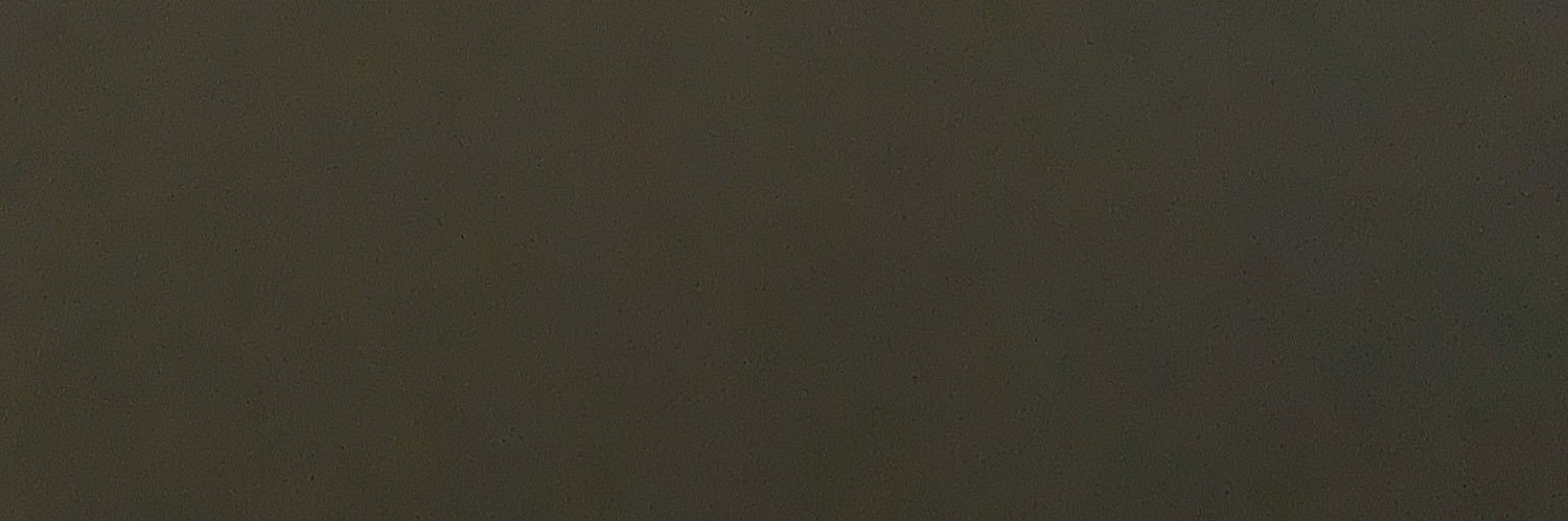 Ravi banner
