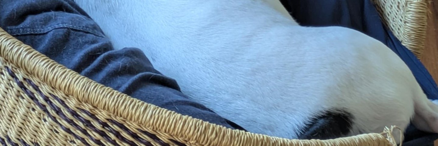 LOVINS_GAME's profile banner image