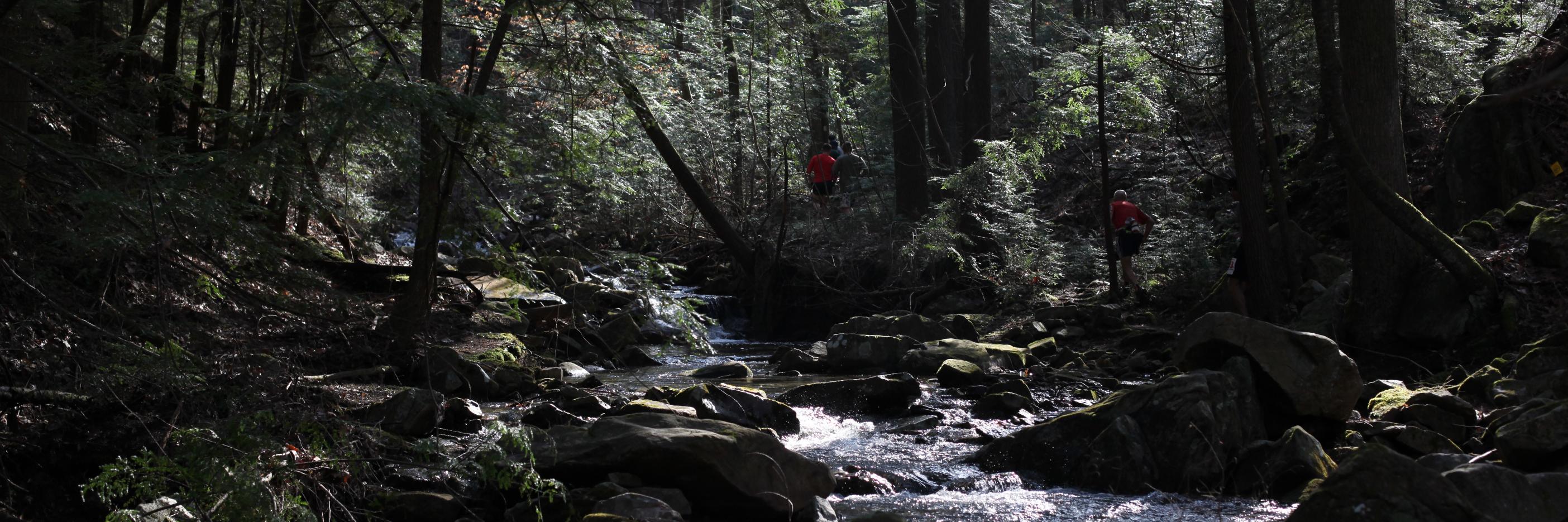 rivergorge's profile banner image