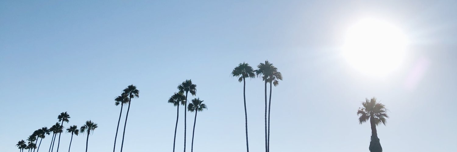 Elise Lowe banner