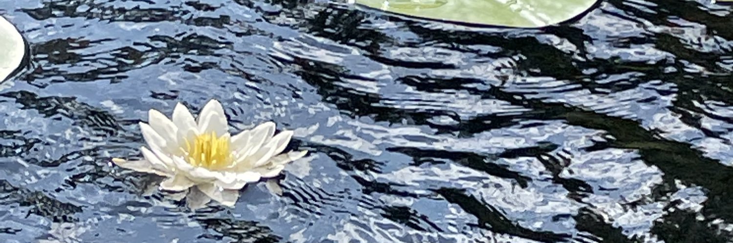 mlkinnunen's profile banner image