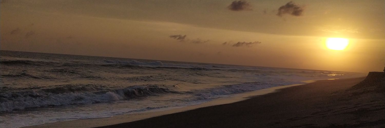 hi_ambrwid's profile banner image