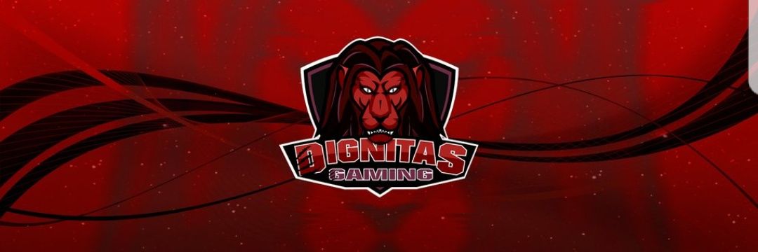 TsLuiggi's profile banner image