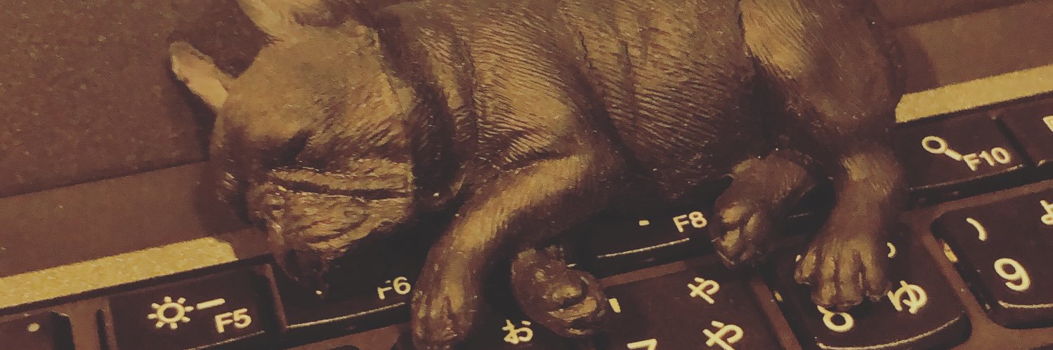 poco_bibi's profile banner image