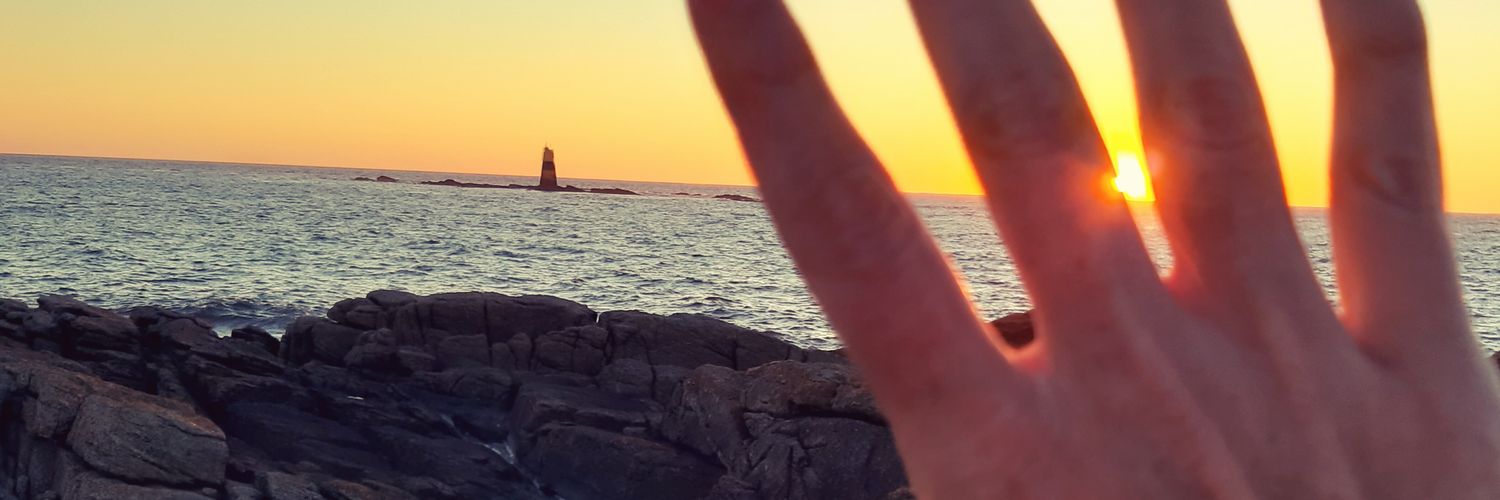 claire_dilly's profile banner image