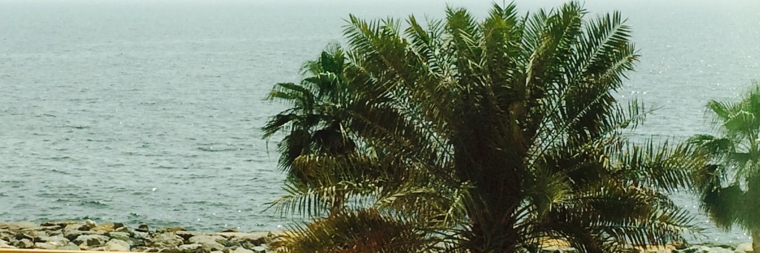 saigamusic's profile banner image