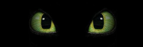 SammyZaynn Profile Banner