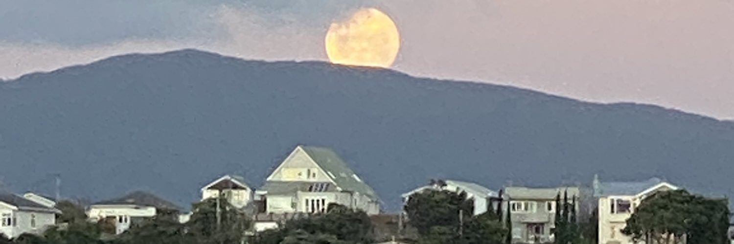 Patrick Hindmarsh banner