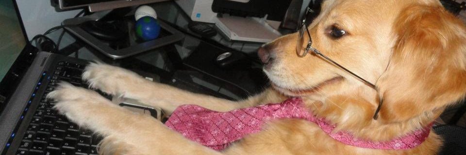 mobrolo's profile banner image