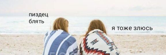 еловая ветка. banner