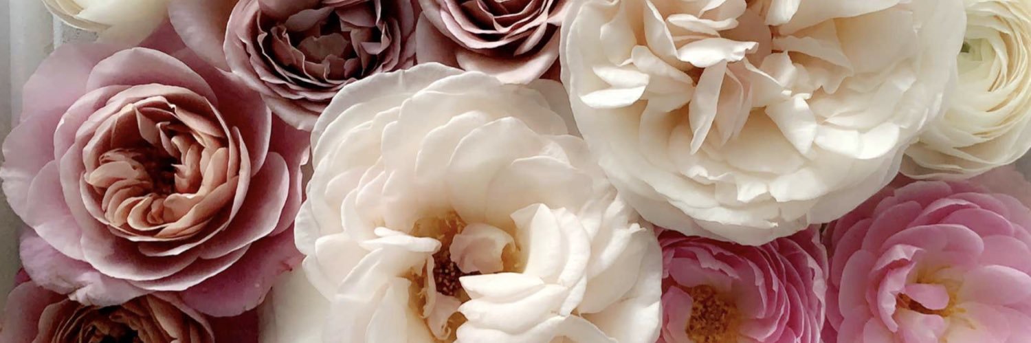 cdtrick's profile banner image