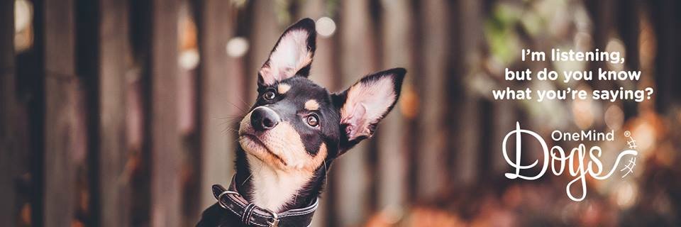 OneMindDogs's profile banner image