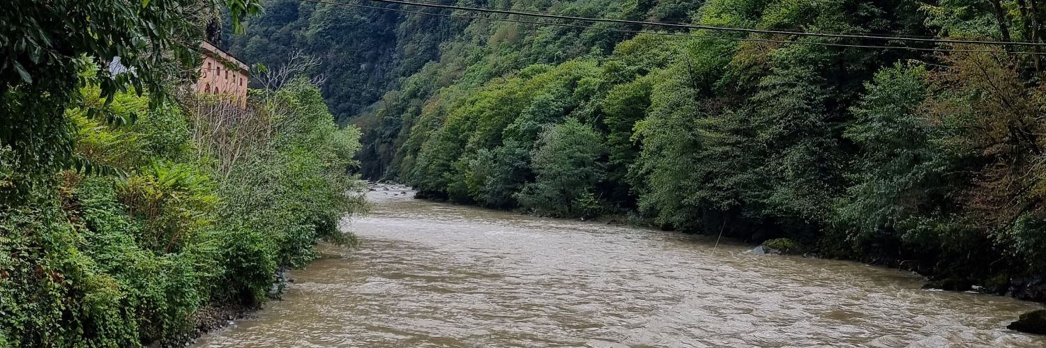 Dar Sigal Dahan banner