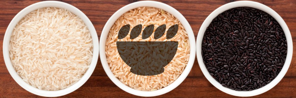 Really Rice UK banner