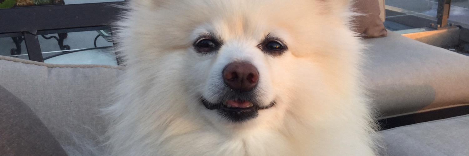 natastical's profile banner image
