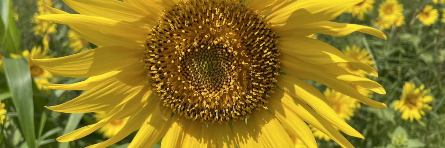 みーた🐶🐾🐰🤍❤️❤️ banner