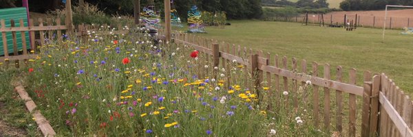 PentyrchPrimary Profile Banner