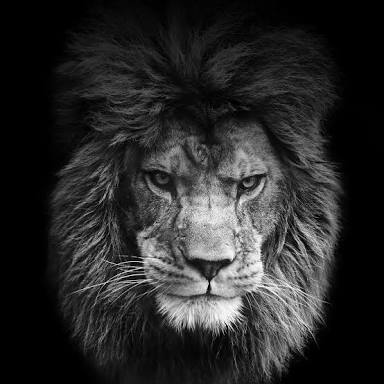 amtthat's profile banner image