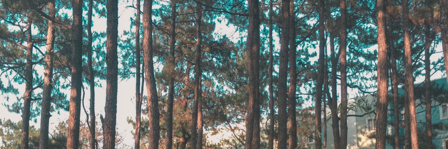 glaiyiieee's profile banner image