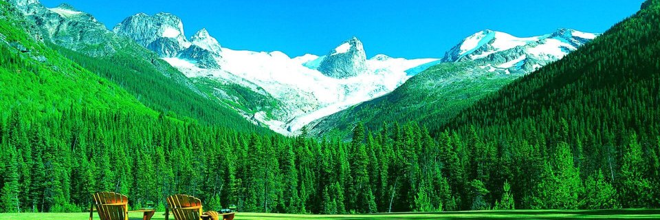 followforever10's profile banner image