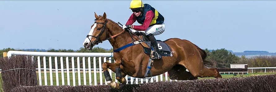 Avon Vale Races banner
