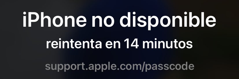 OyramelKoala 🎋🎍🐨 banner