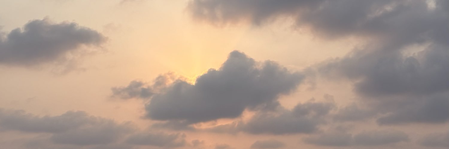 S banner