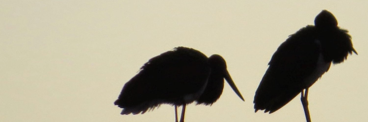 FORESTALES CCOO CM banner