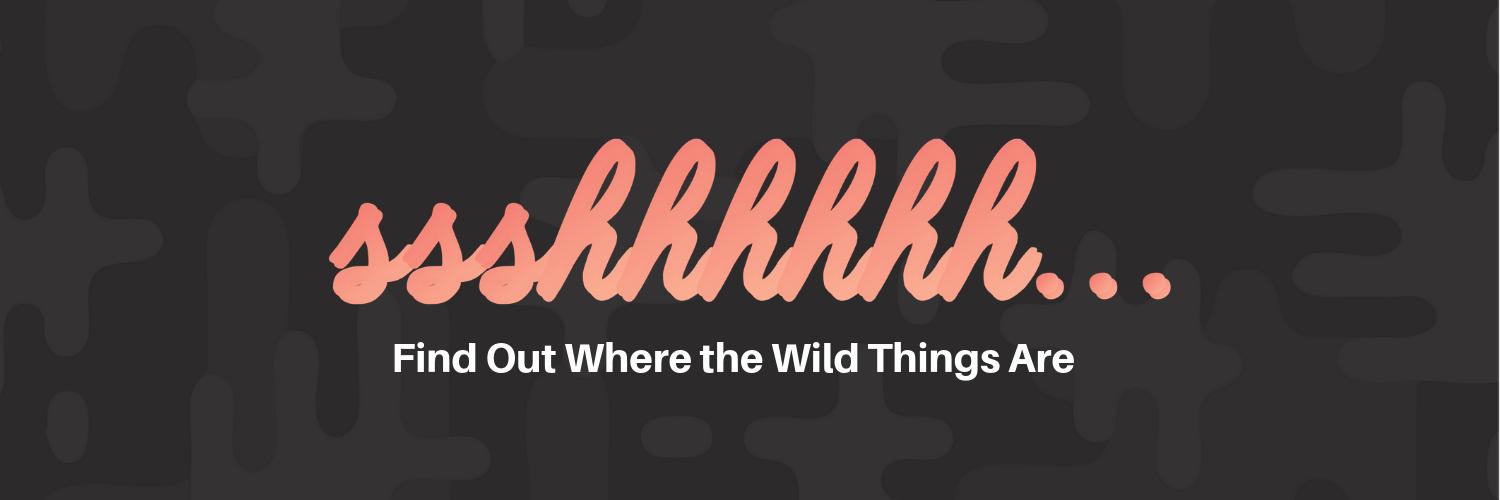 wildaccelerator banner