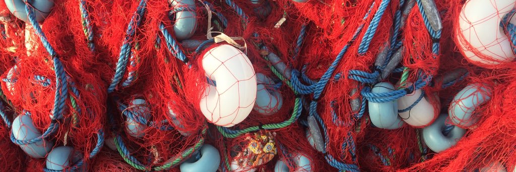 Gülşen Öncel banner