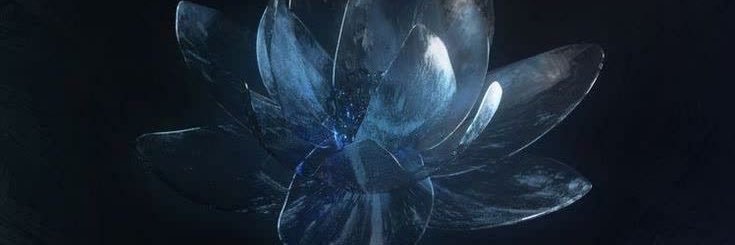 𓆗's banner
