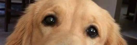 OnekNek26's profile banner image