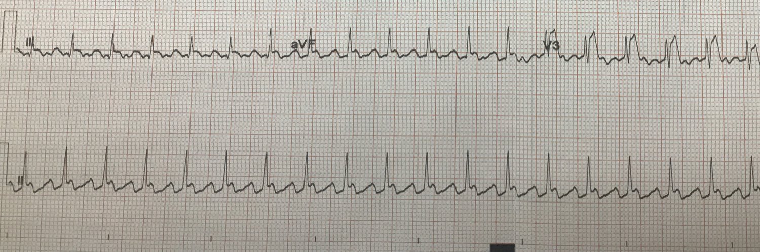 Victoria Stephen banner