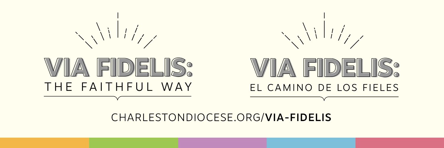 Diocese of Charleston banner