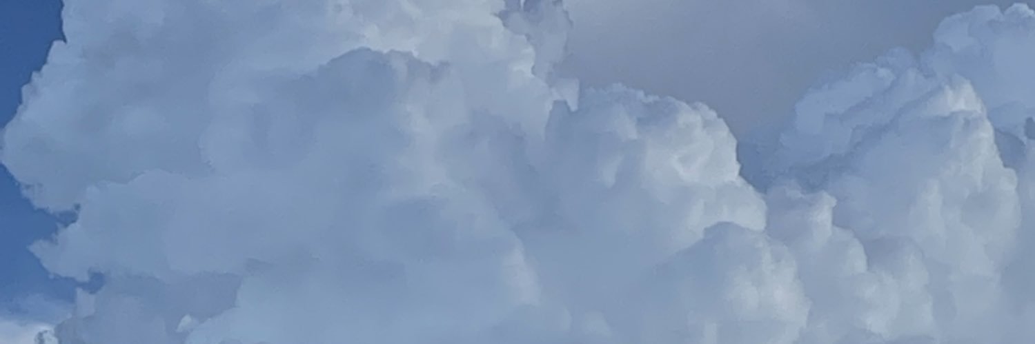 loracocollo's profile banner image