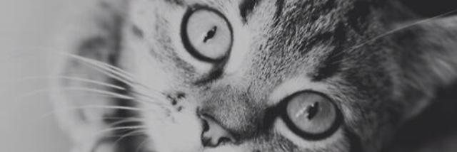 Mariadelrm's profile banner image